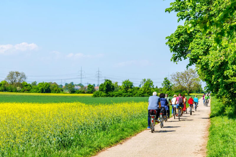 From Amsterdam: Countryside Bike Tour with Cheese Tasting - Riding Through UNESCO-Listed Canals and Traditional Dutch Landscapes