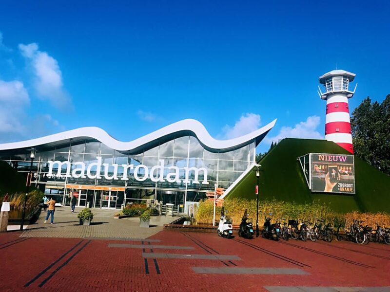 From Amsterdam: Day Tour to Rotterdam, Delft and The Hague - A Stroll Through Delft’s Pottery Heritage