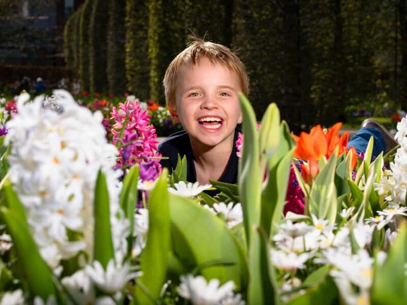 From Amsterdam: Day Trip Madurodam and Keukenhof Gardens - Final Thoughts on the From Amsterdam Day Trip