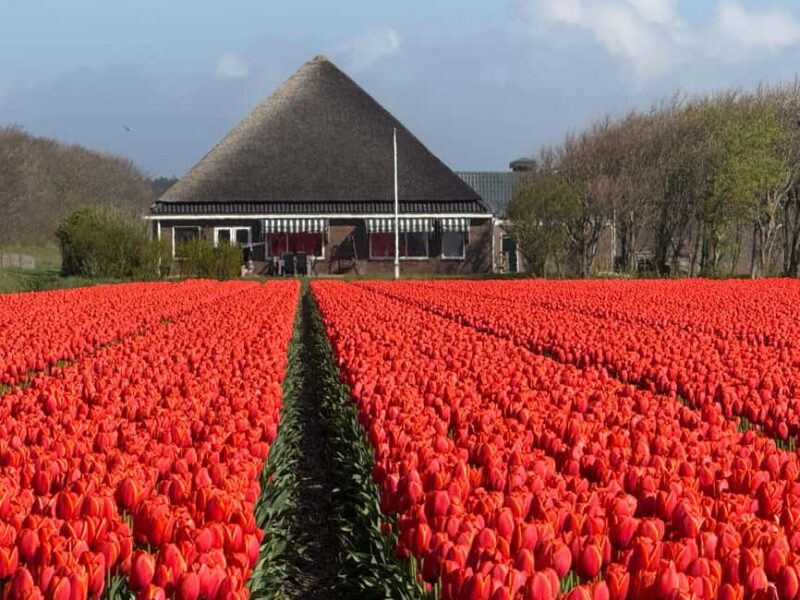 From Amsterdam: Dunes, Submarine & Windmills Guided Day Tour - Exploring the Coastal Village of Huisduinen