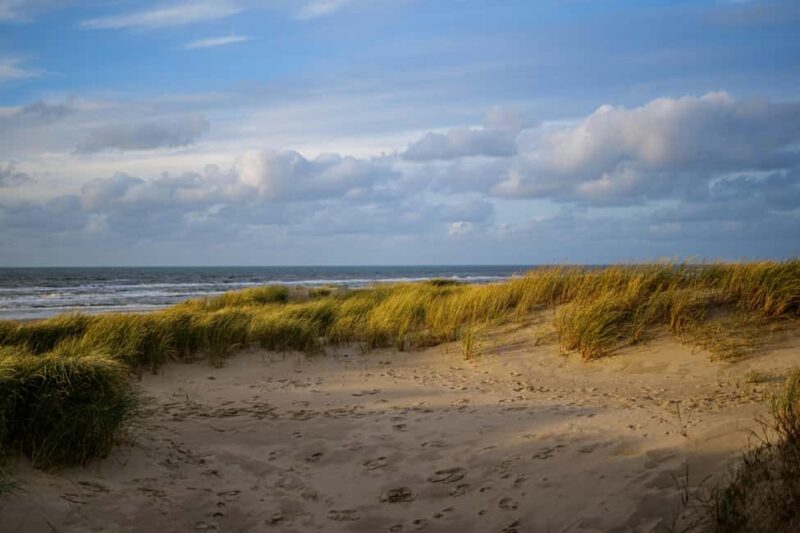 From Amsterdam: Dunes, Submarine & Windmills Guided Day Tour - Relaxing at the Naval Base and Scenic Return