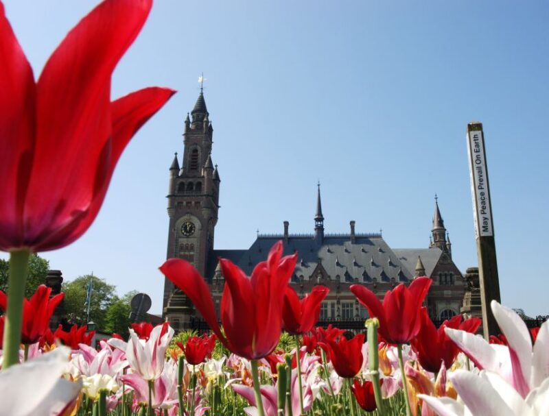 From Amsterdam: Guided Trip to Rotterdam, Delft & The Hague - Key Points