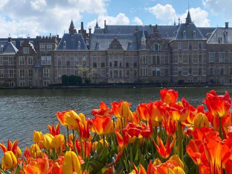 From Amsterdam: Guided Trip to Rotterdam, Delft & The Hague - Rotterdam’s Architectural Landmarks and City Vibe