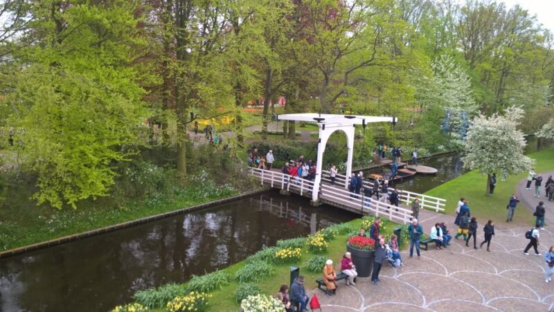 From Amsterdam: Keukenhof and Zaanse Schans Small Group Tour - Comparing Similar Excursions