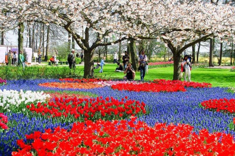 From Amsterdam: Keukenhof Entry with Shuttlebus Transfer - Practical Details for a Smooth Experience