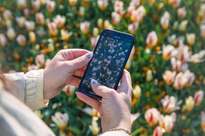 From Amsterdam: Keukenhof Entry with Shuttlebus Transfer - Final Thoughts on the Keukenhof Day Trip from Amsterdam