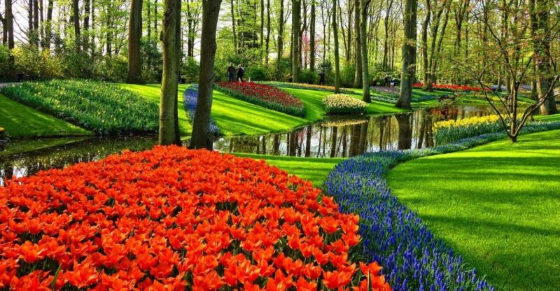 From Amsterdam: Keukenhof Gardens and Giethoorn Tour - Practical Details and Pacing of the Day