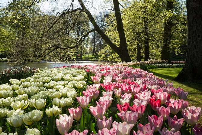 From Amsterdam: Keukenhof Gardens Ticket and Transfer - Return Journey and Optional Canal Cruise