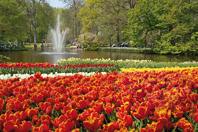 From Amsterdam: Keukenhof Gardens Ticket and Transfer - Strengths and Limitations of the Tour