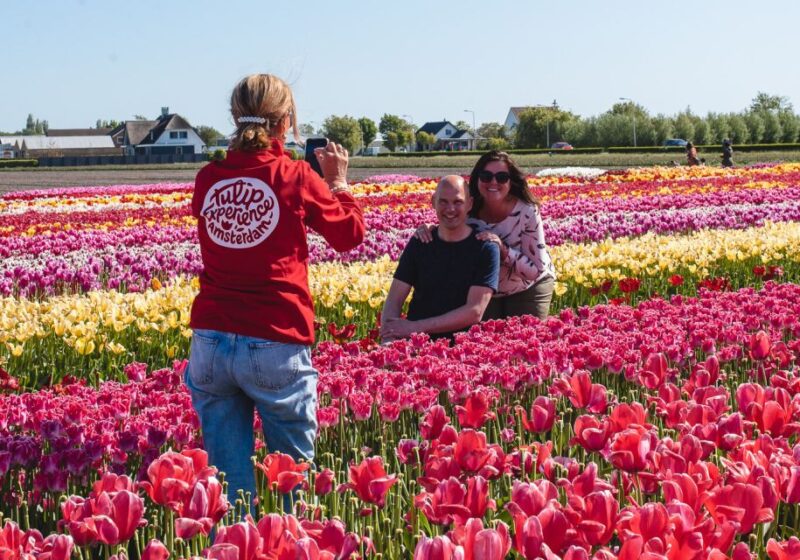 From Amsterdam: Keukenhof Gardens & Tulip Experience Tour - The Value and Overall Experience