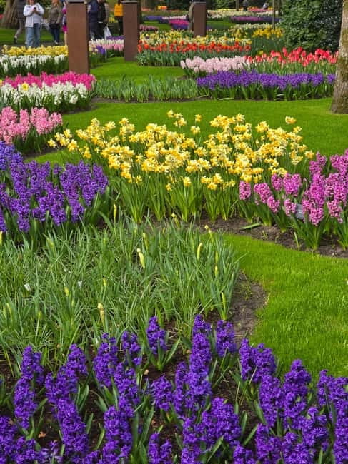 From Amsterdam: Keukenhof Tulips, Windmills & Volendam - Authentic Dutch Handicraft Demonstrations and Tastings