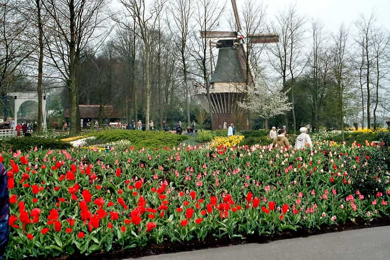 From Amsterdam: Private Day Trip to Keukenhof & De Tulperij - Key Points