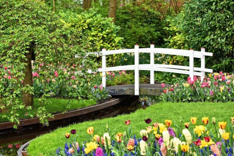 From Amsterdam: Private Windmills and Keukenhof Tour - The Beauty of Keukenhof Flower Park and Weekly Exhibitions