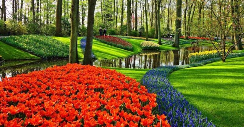 From Amsterdam: Private Windmills and Keukenhof Tour - Comparing Similar Tours and Additional Options