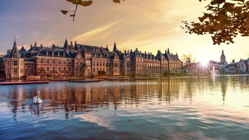 From Amsterdam: Rotterdam to The Hague and Delft - Explore Rotterdam’s Markets and Architecture on a Day Trip from Amsterdam