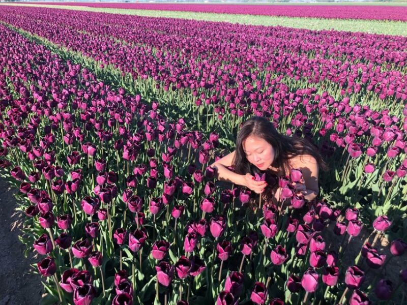 From Amsterdam: Small Group Keukenhof & City Tour Delft - Delft’s Medieval Charm and Historic City Center