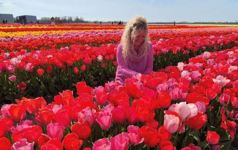 From Amsterdam: Tulip Field Experience  The Tulip Barn - The Departure and Return: Easy Access from Amsterdam