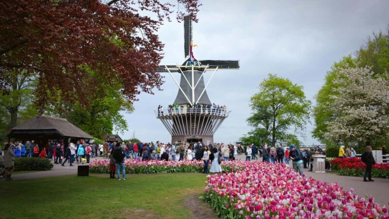 From Amsterdam: VIP Keukenhof Tulip Tour with Private Driver - Luxury Transport from Heart of Amsterdam to Keukenhof
