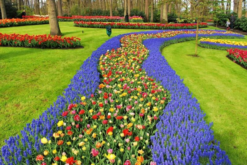 From Amsterdam: VIP Keukenhof Tulip Tour with Private Driver - The Sum Up: The Ideal Tulip Season Escape