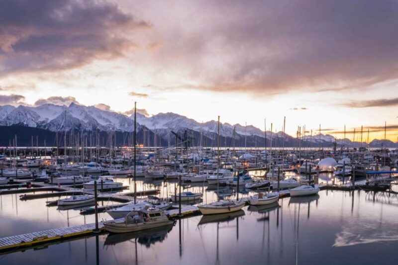 From Anchorage: 4-Day Seward and Kenai Camping & Hiking Tour - Key Points