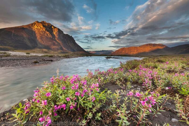 From Anchorage: 6-Day Best of Grand Alaska Highlights Tour - Scenic Drive Along the Seward Highway