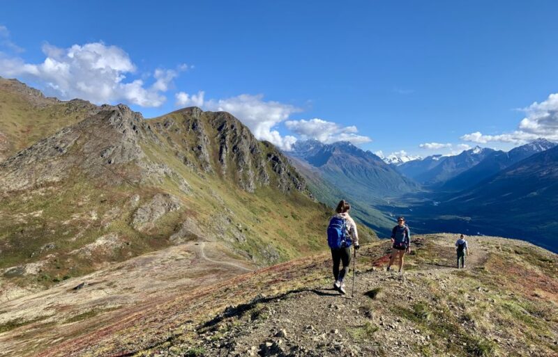 From Anchorage: Chugach State Park Guided Alpine Trek - Key Points