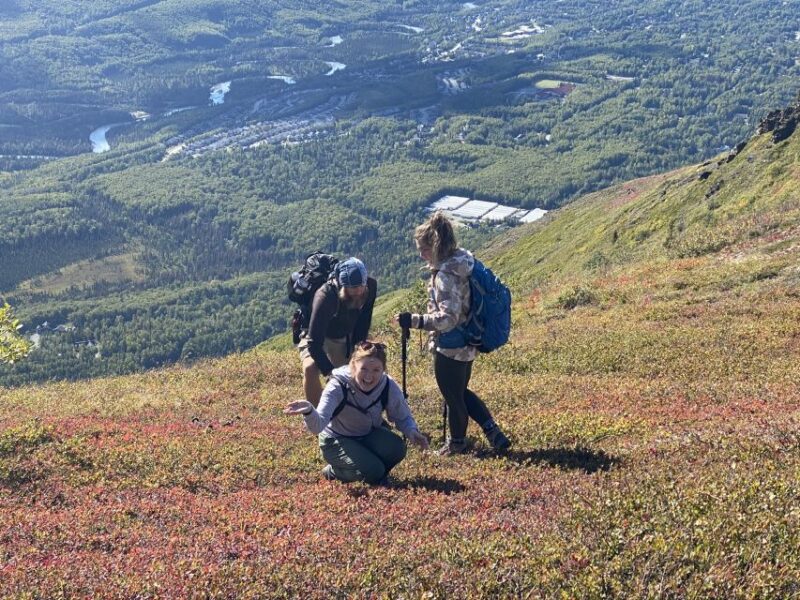 From Anchorage: Chugach State Park Guided Alpine Trek - Wildlife Watching and Safety Tips