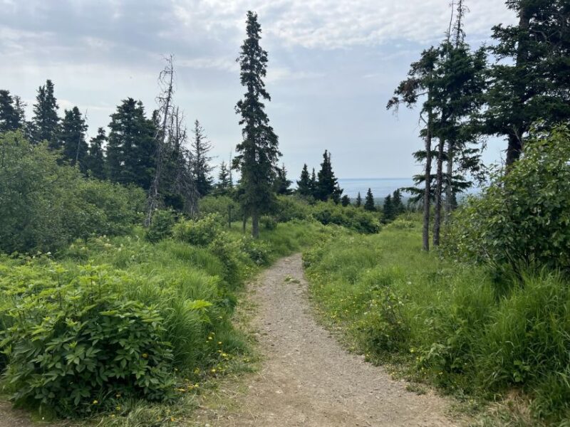 From Anchorage: Chugach State Park Walk with Naturalist - Cancellation Policy and Booking Flexibility