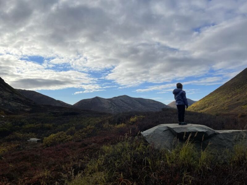 From Anchorage: Chugach State Park Walk with Naturalist - The Sum Up: An Accessible Nature Encounter Near Anchorage