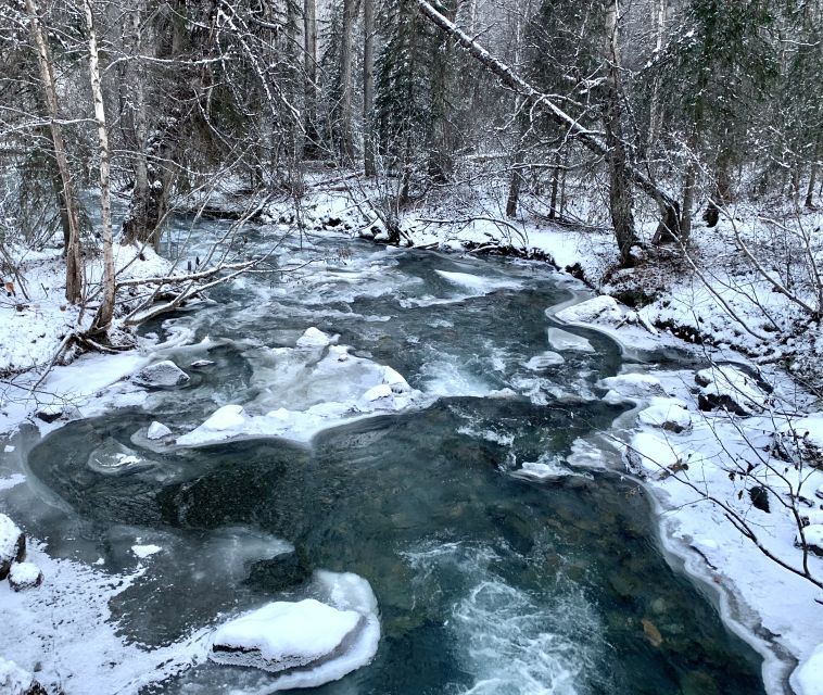 From Anchorage: Chugach State Park Winter Walking Tour - What to Expect During the 3-Hour Walk