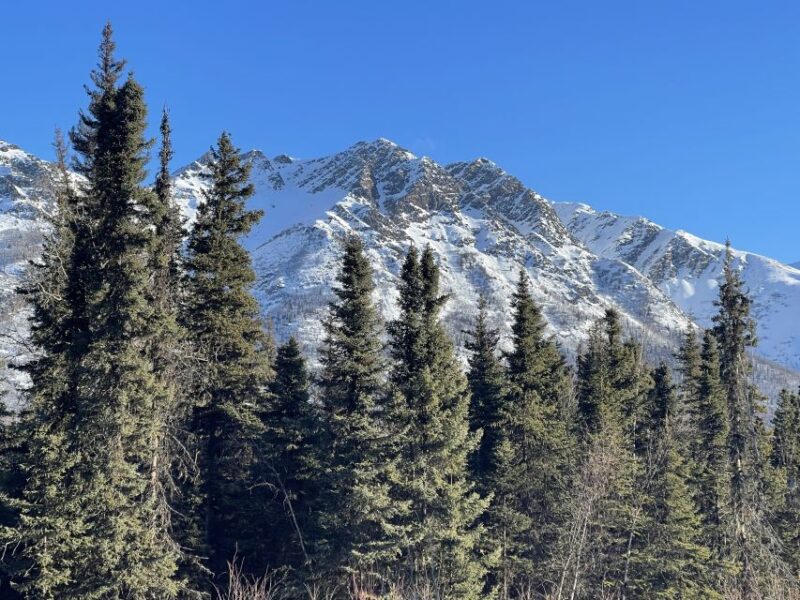 From Anchorage: Chugach State Park Winter Walking Tour - The Role of Guides and Tour Atmosphere
