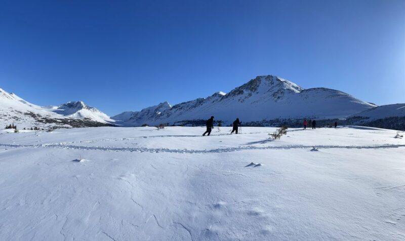 From Anchorage: Glen Alps Beginner's Snowshoeing Adventure - Key Points