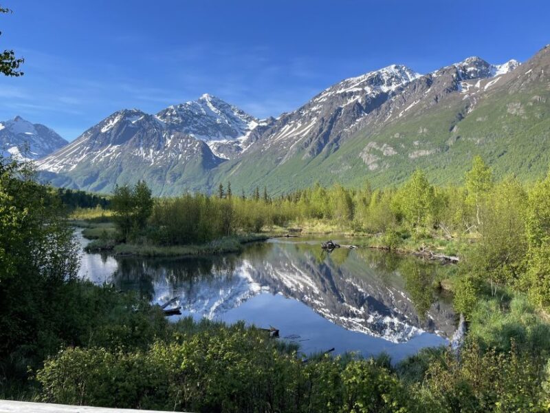 From Anchorage: Valley and Forest Hike with Naturalist Guide - Discover the Anchorage Valley and Forest Hike with a Naturalist Guide