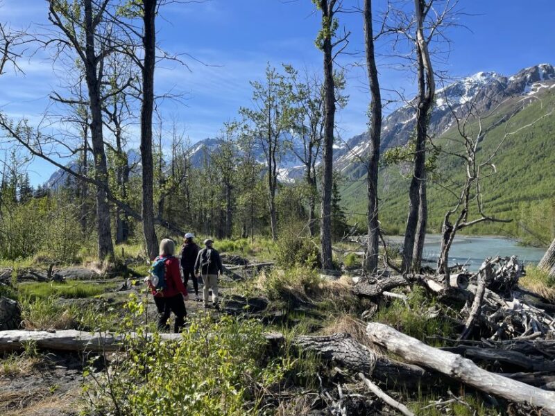 From Anchorage: Valley and Forest Hike with Naturalist Guide - Why This Tour Stands Out from Other Anchorage Hikes