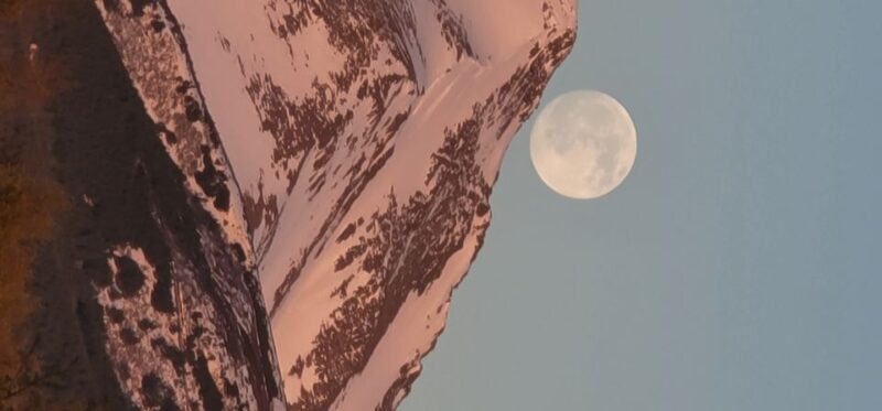 From Anchorage: Wilderness, Wildlife, & Glacier Experience - Practical Tips for a Comfortable Experience