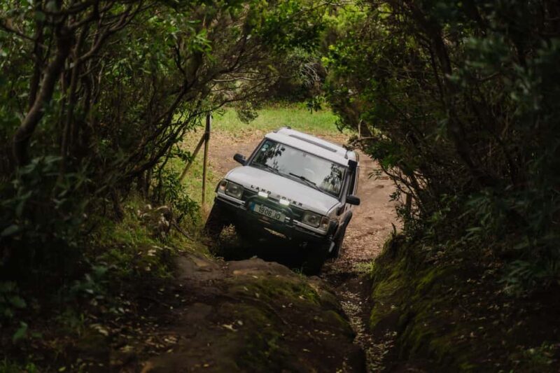 From Angra: Terceira Island Full-Day Jeep Tour - Panoramic Views from Monte Brasil and Ribeirinha
