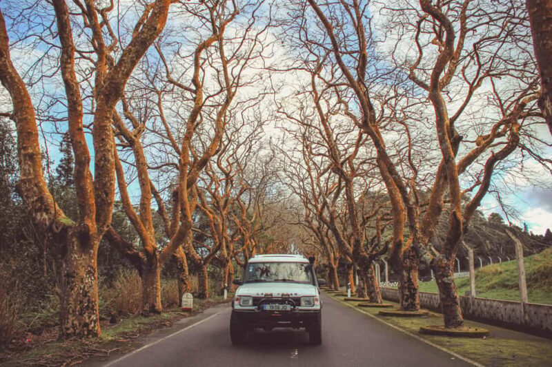 From Angra: Terceira Island Full-Day Jeep Tour - Off-Road Adventures through Villages of Agualva and Biscoitos