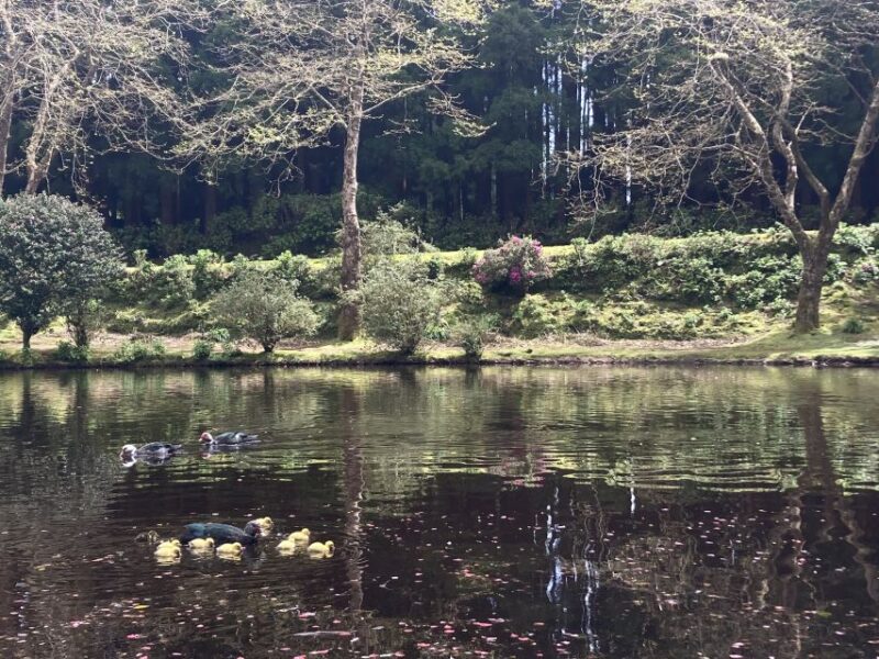 From Angra: Terceira Island Full-Day Tour - The Expertise of Local Guides