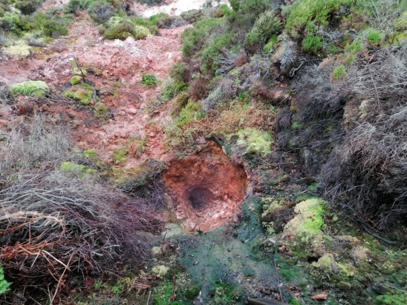 From Angra: Terceira Island Half-Day Geotour - Expert Guides and Their Role in the Experience