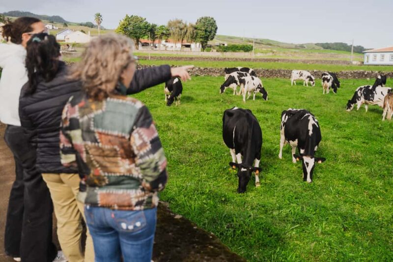 From Angra: Terceira Island Half-Day Tour - Tour Flexibility and Personalization