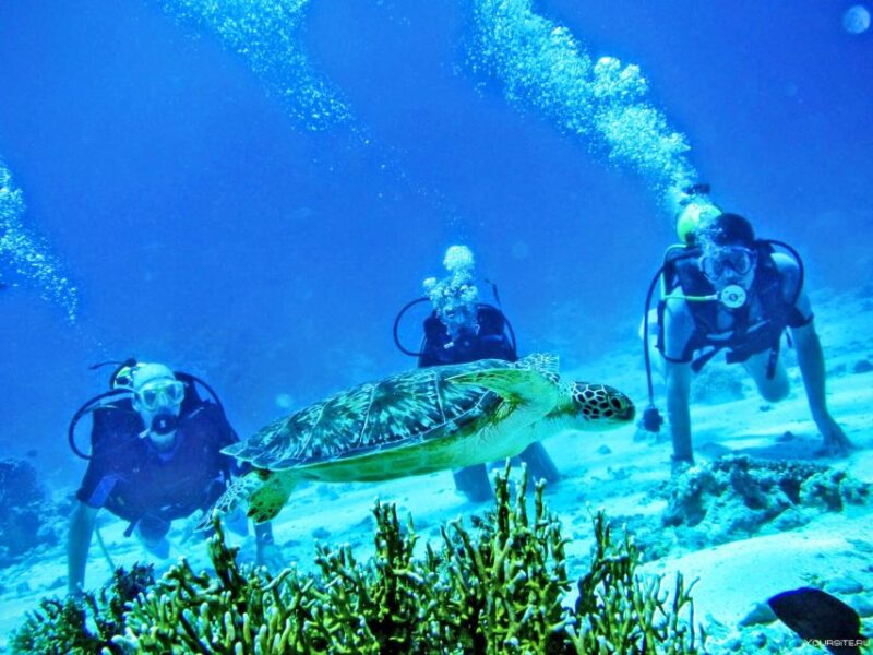 From Antalya| Kemer: Diving Tour with Experienced Instructor - Pickup and Transportation from Antalya Hotels