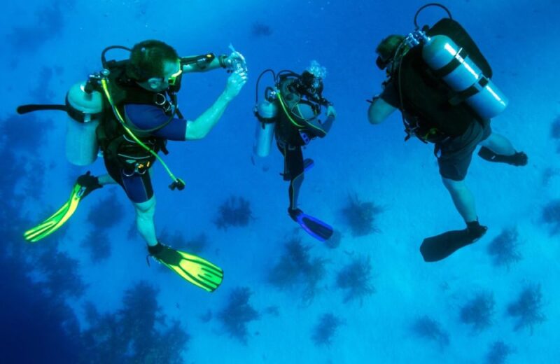 From Antalya| Kemer: Diving Tour with Experienced Instructor - Detailed Marine Exploration and Shipwrecks