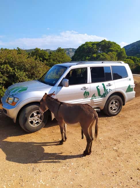 From Arbatax: 4hour jeep tour of the Golgo Plateau in Baunei - Departing from Arbatax for Sardinia’s Mountain Secrets