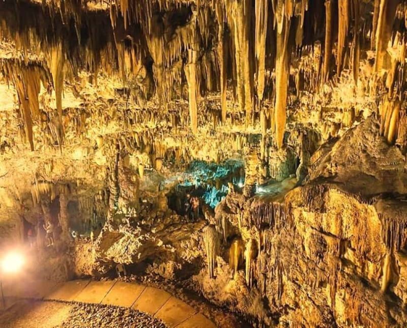 From Argostoli Highlights of Kefalonia & Local Delights - Key Points