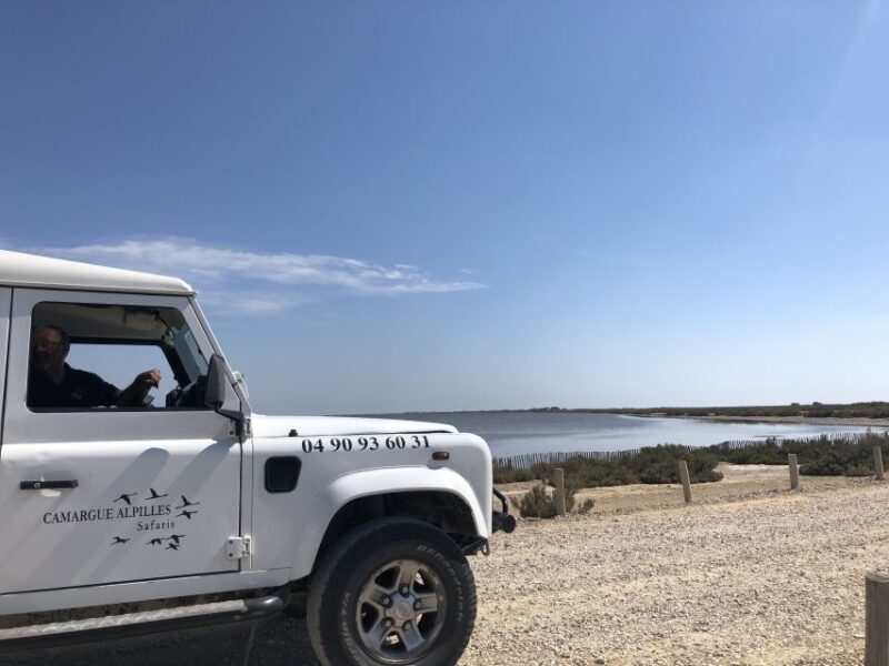 From Arles: Half-Day 4x4 Camargue Safari - Overall Value and Suitability