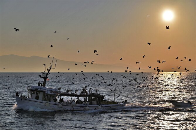 From Athens: Aegina Island E-bike & walking day tour - Return Journey: Ferry and Athens Downtown