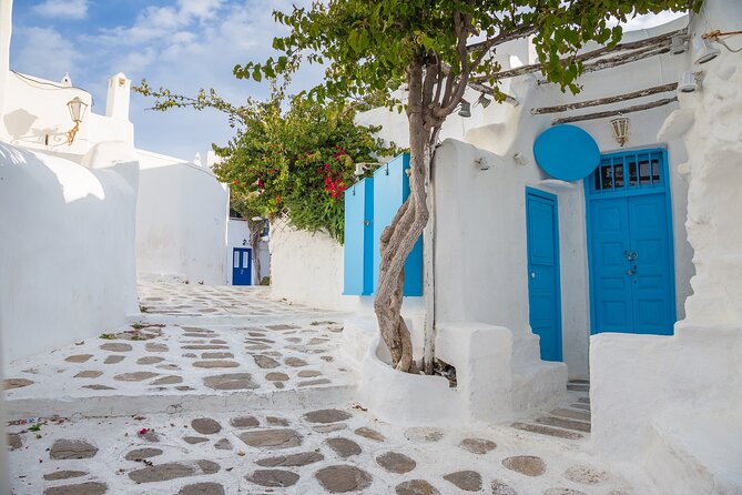 From Athens: Day Tour to Mykonos - Practical Details and Flexibility