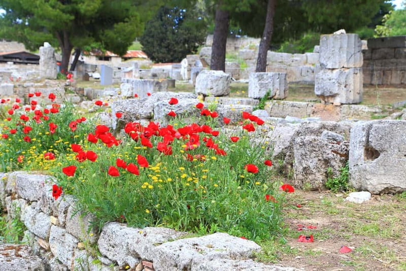 From Athens: Explore Ancient Corinth & Charming Nafplion - Cost and Additional Expenses