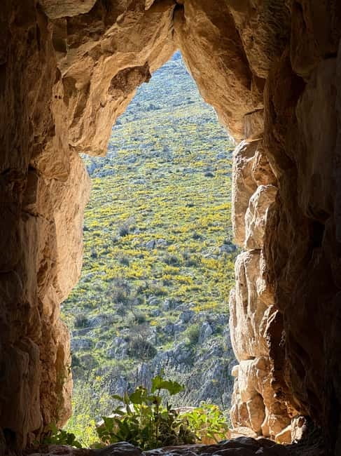 From Athens: Mycenae, Epidaurus & Nafplio Full-Day Tour - Who Should Consider This Tour?