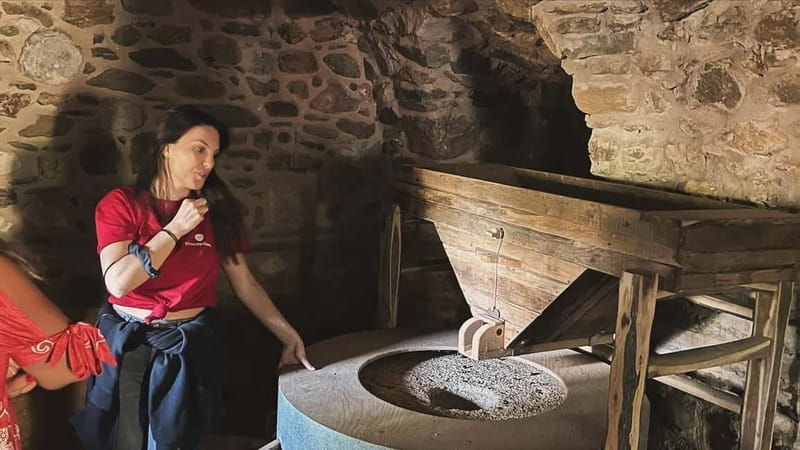 From Athens: Nemea Wine Tour with Corinth Canal Stop - Final Thoughts on the Nemea Wine Tour from Athens